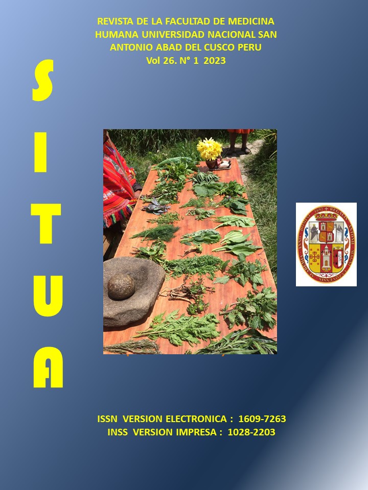 SITUA Vol 28 N° 1  2025